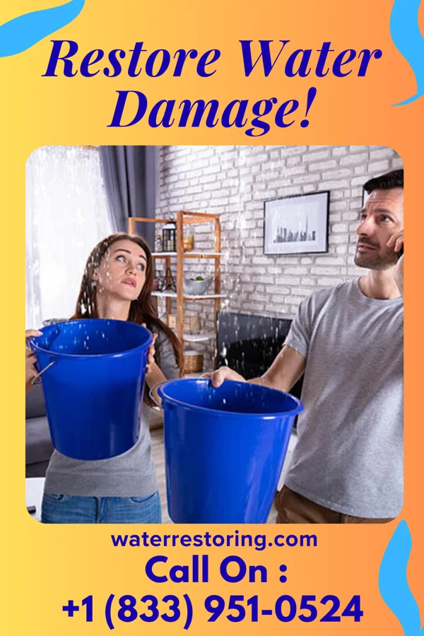 water restoration Solid Restoration Pros Grove City
