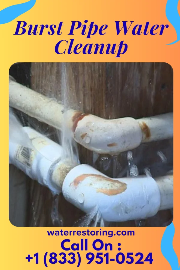 Burst Pipe Water Cleanup in Grove City, OH