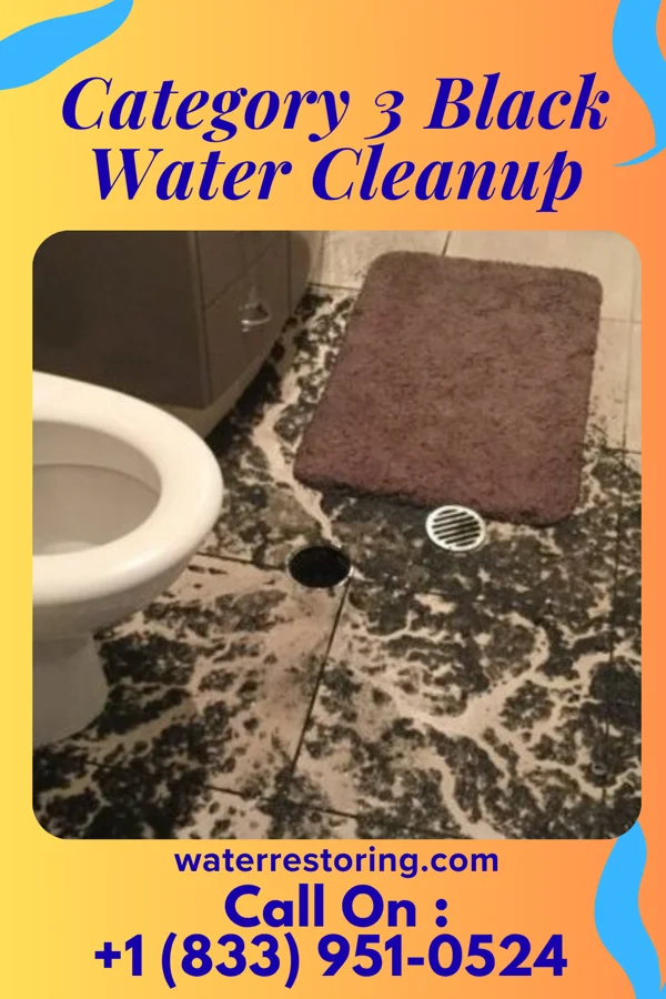 Category 3 Black Water Cleanup in Grove City, OH