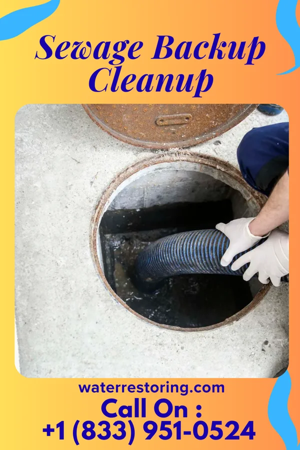 Sewage Backup Cleanup in Grove City, OH